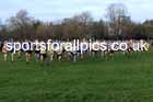 Boys Under-13s, 2023 British Athletics Cross Challenge, Sefton Park, Liverpool. Photo: David T. Hewitson/Sports for All Pics
